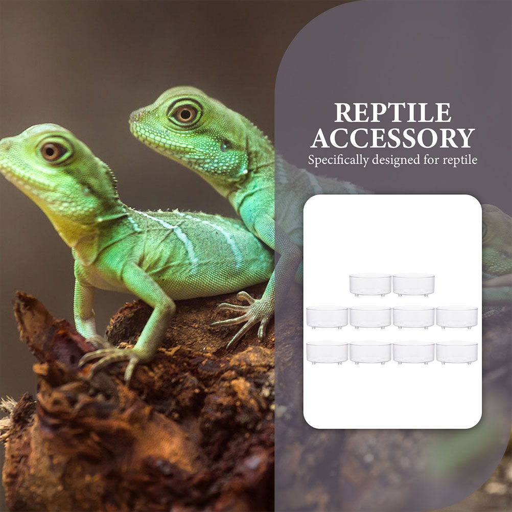 10Pcs Acrylic Reptile Food Dis - Water Dish Reptile 리뷰 및 가격