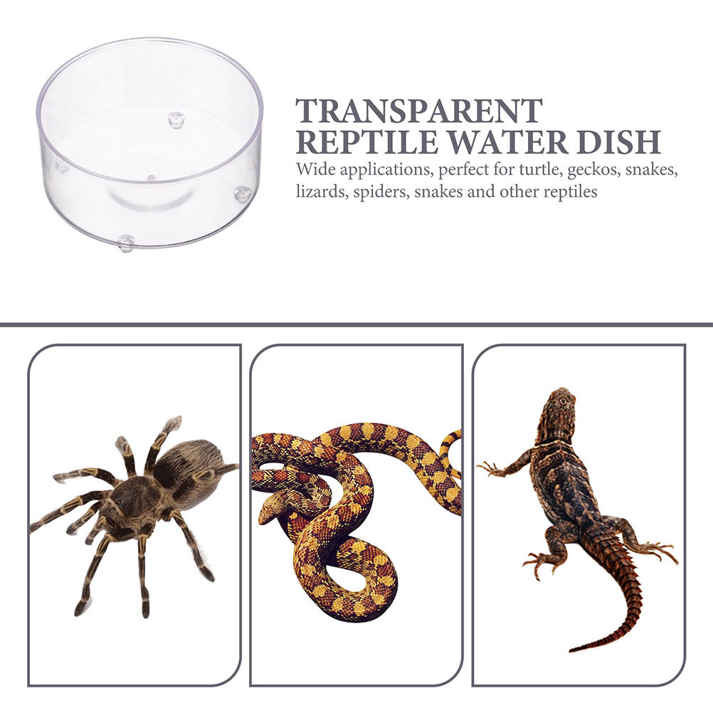 10Pcs Acrylic Reptile Food Dis - Water Dish Reptile 리뷰 및 가격