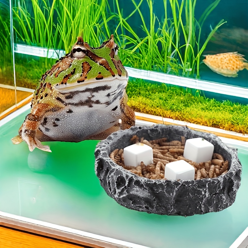 6Pcs For Reptile Grinding Tort - Calcium Powder Reptile 리뷰 및 가격