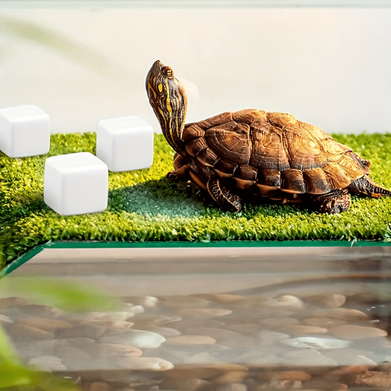 6Pcs For Reptile Grinding Tort - Calcium Powder Reptile 리뷰 및 가격