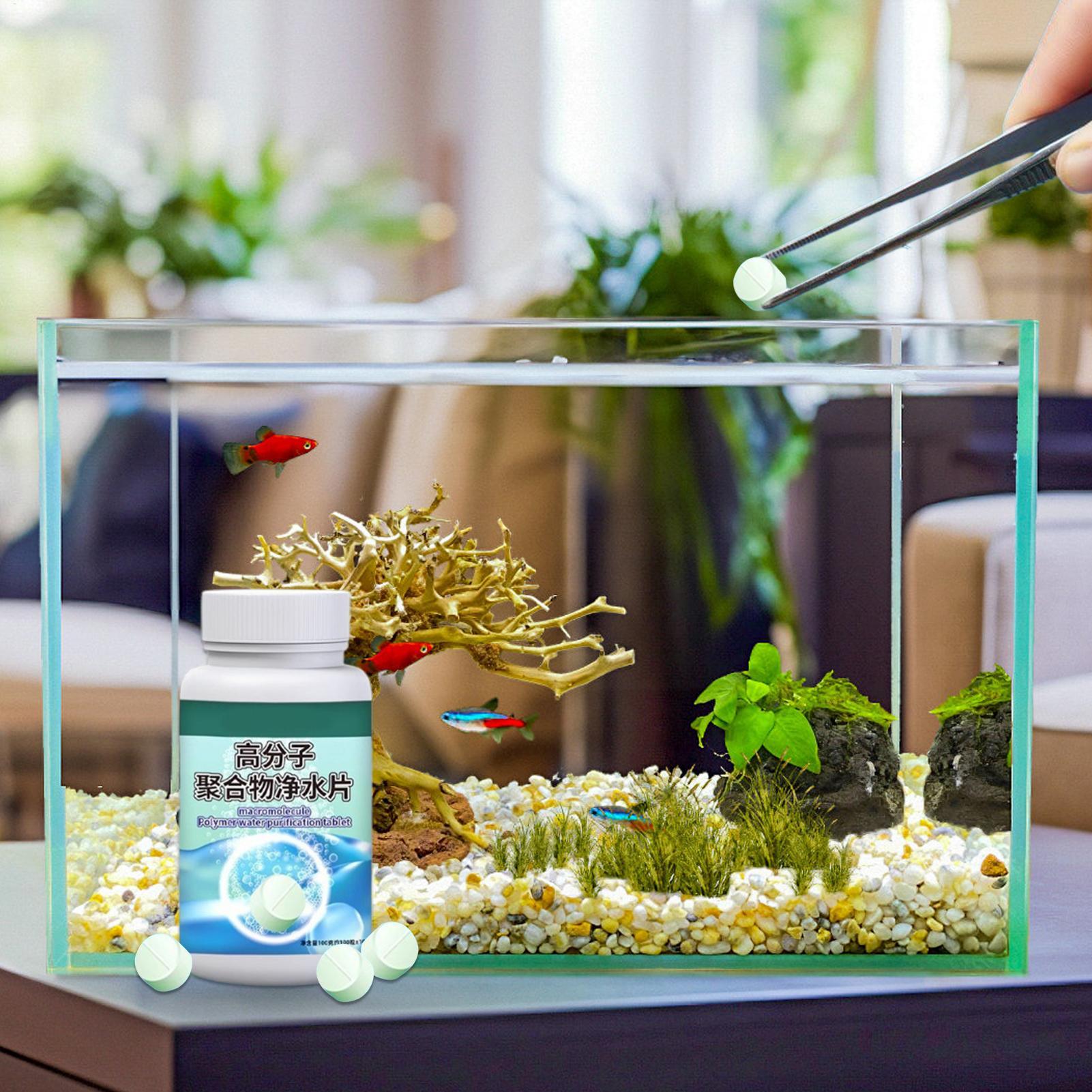 Fish Can Algae Remover Aquariu - Water Dish Reptile 리뷰 및 가격