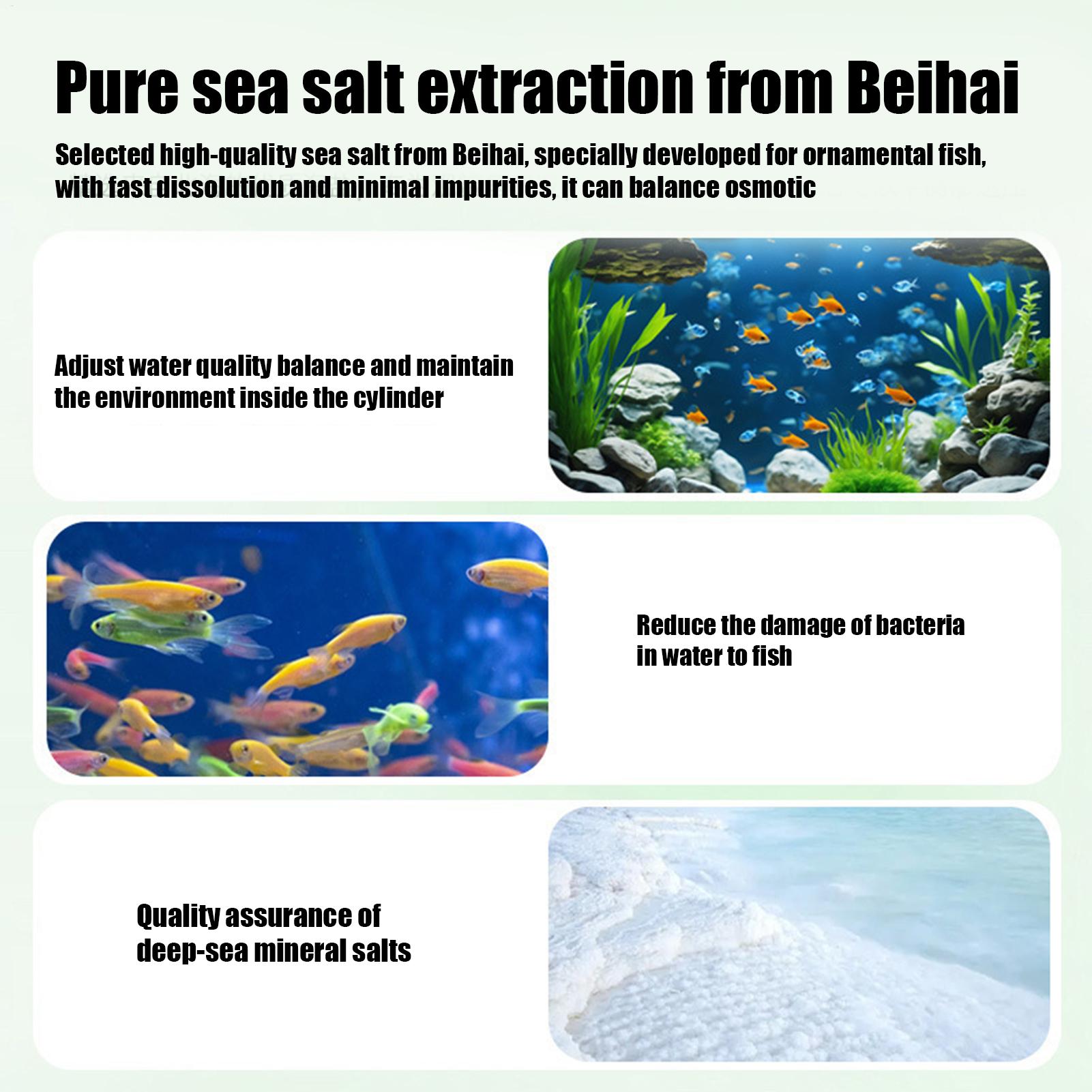 Fish Can Algae Remover Aquariu - Water Dish Reptile 리뷰 및 가격