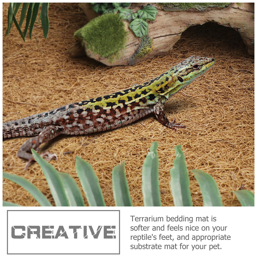 Reptile Carpet Natural Coconut - Substrate Coconut Fiber 리뷰 및 가격