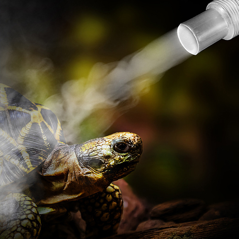 4L Reptile Terrariums Humidifi - Terrarium Fogger Ultrasonic 리뷰 및 가격