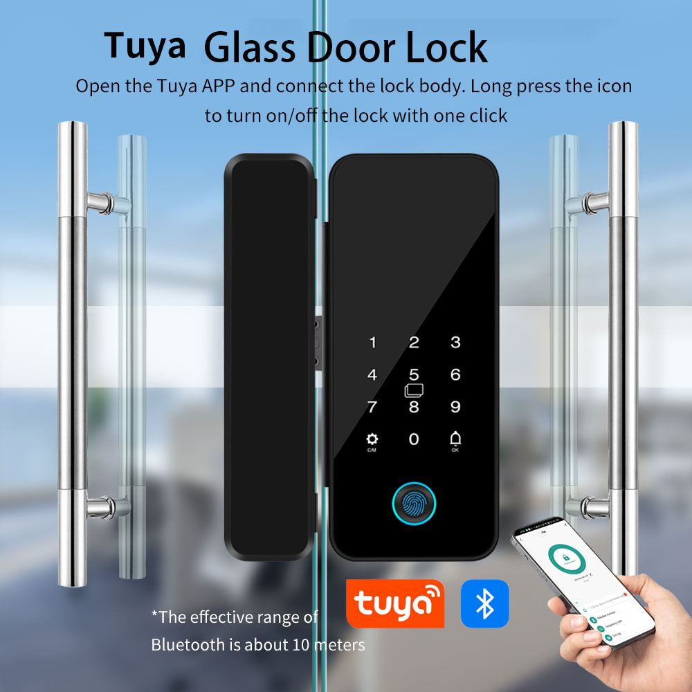 B16 Tuya APP Bluetooth Glass D - Glass Door Hinge 리뷰 및 가격