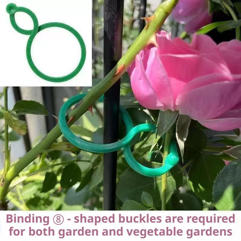 100 Pcs Plant Support Clips He - Vine Climbing Plastic 리뷰 및 가격