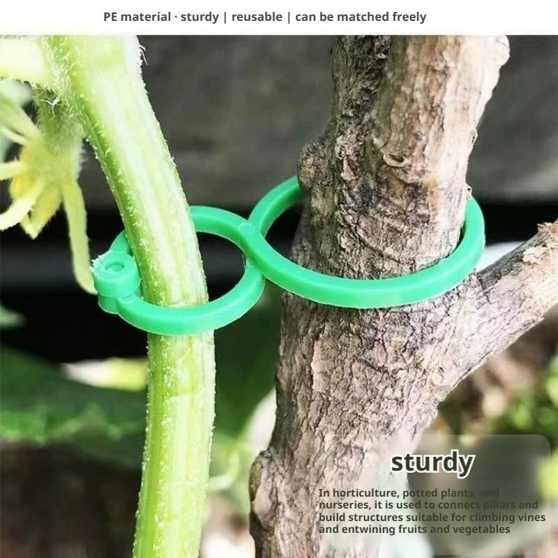 100 Pcs Plant Support Clips He - Vine Climbing Plastic 리뷰 및 가격