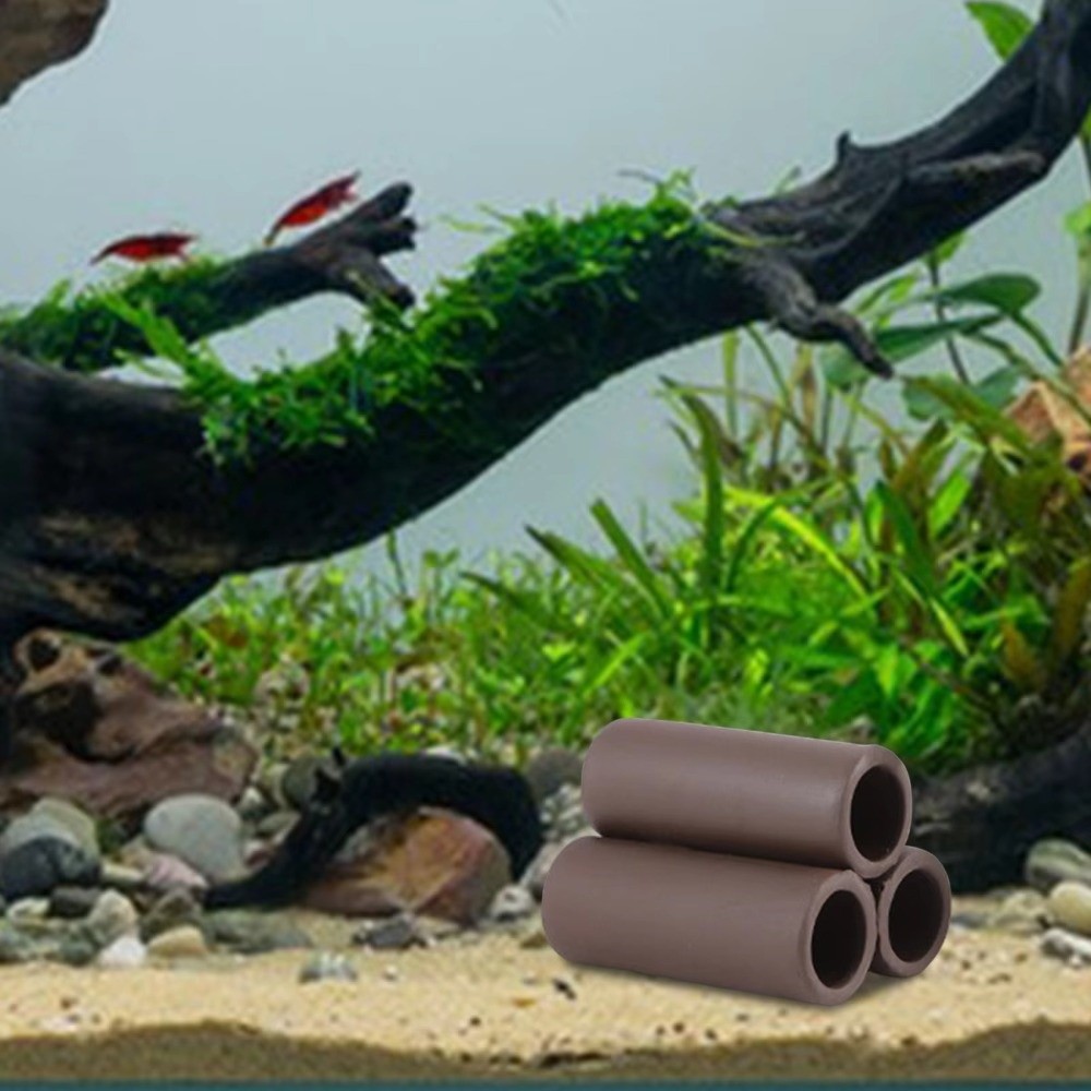Playing Breeding Spawning Aqua - Hide Cave Ceramic 리뷰 및 가격