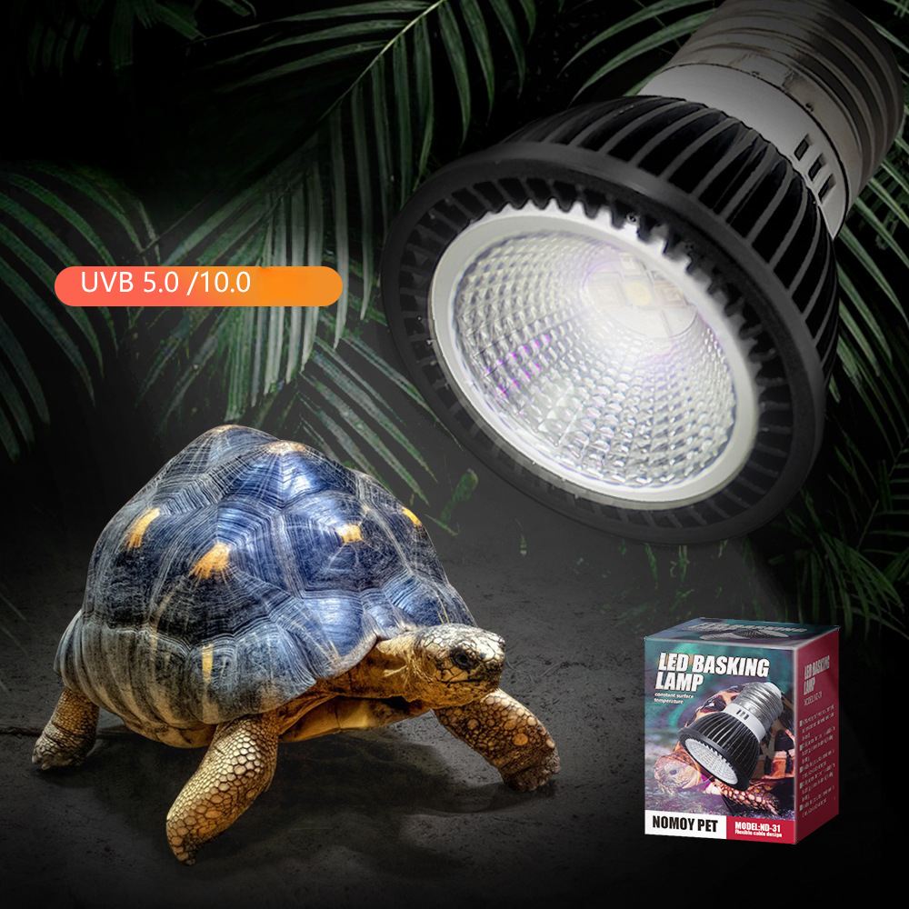Reptile 110/220V UVB+UVA Light - Calcium Powder Reptile 리뷰 및 가격