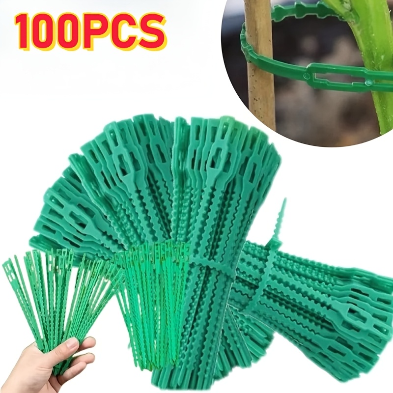 100PCS reusable adjustable pla - Vine Climbing Plastic 리뷰 및 가격