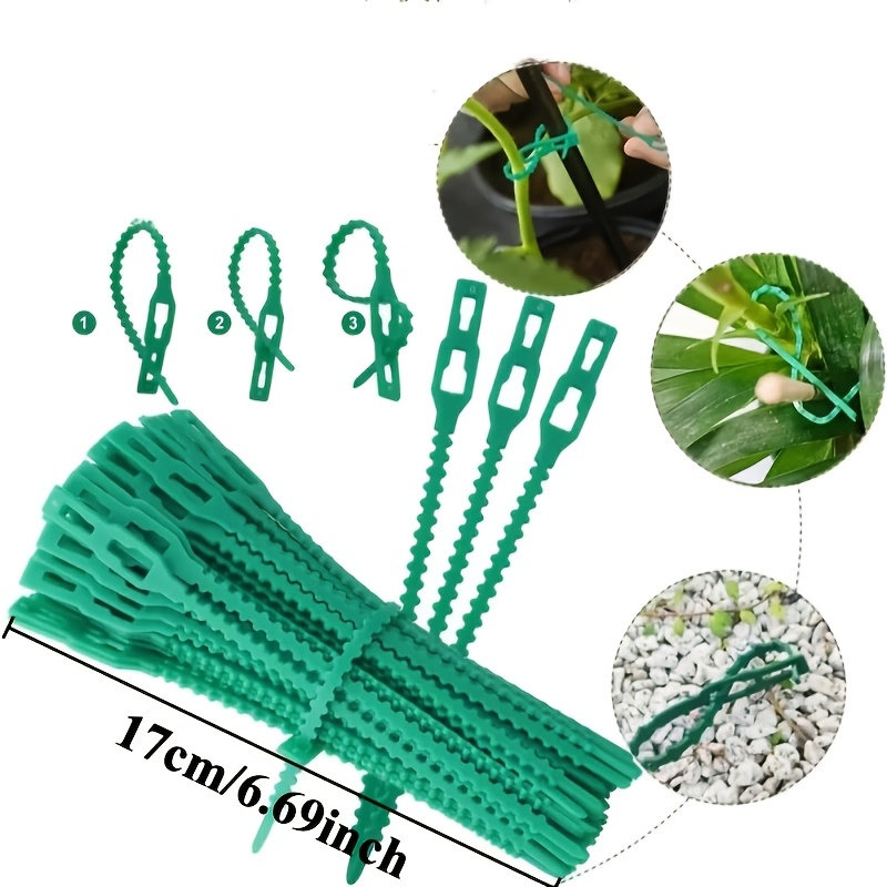 100PCS reusable adjustable pla - Vine Climbing Plastic 리뷰 및 가격