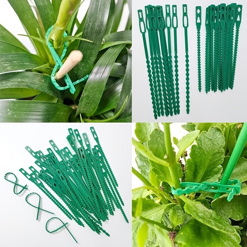100PCS reusable adjustable pla - Vine Climbing Plastic 리뷰 및 가격