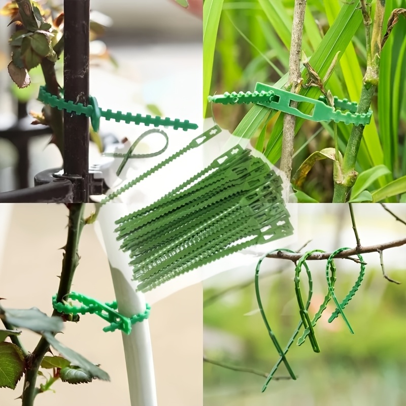 100PCS reusable adjustable pla - Vine Climbing Plastic 리뷰 및 가격