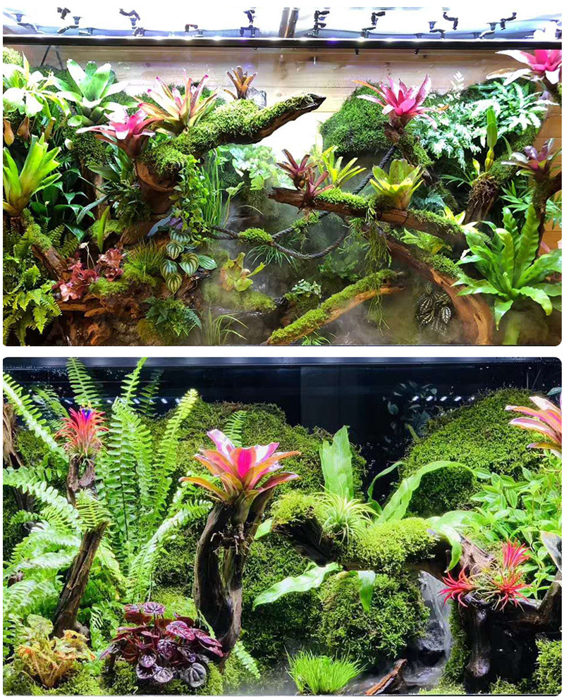 MINI Adjustable Reptile Fogger - Misting Nozzle Reptile 리뷰 및 가격