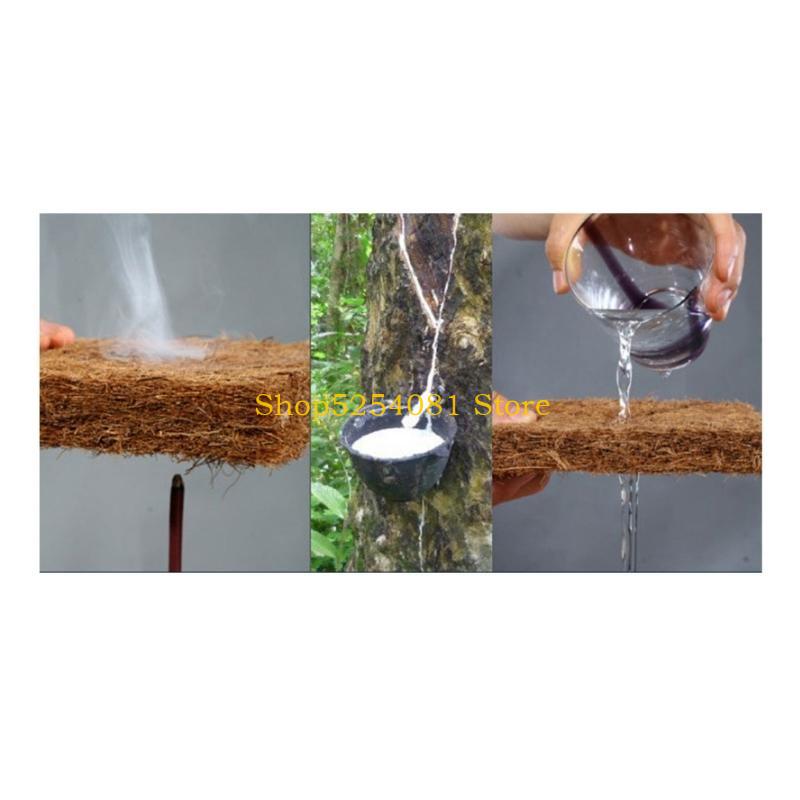 AXYC Reptiles Sleeping Mat Bed - Substrate Coconut Fiber 리뷰 및 가격