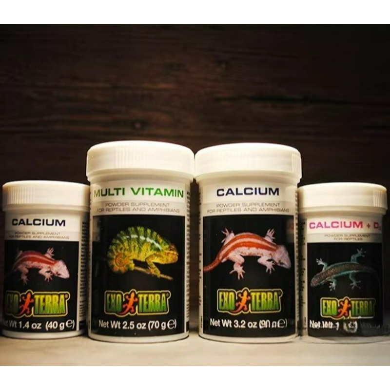 HAGEN Reptile Calcium Powder W - Calcium Powder Reptile 리뷰 및 가격