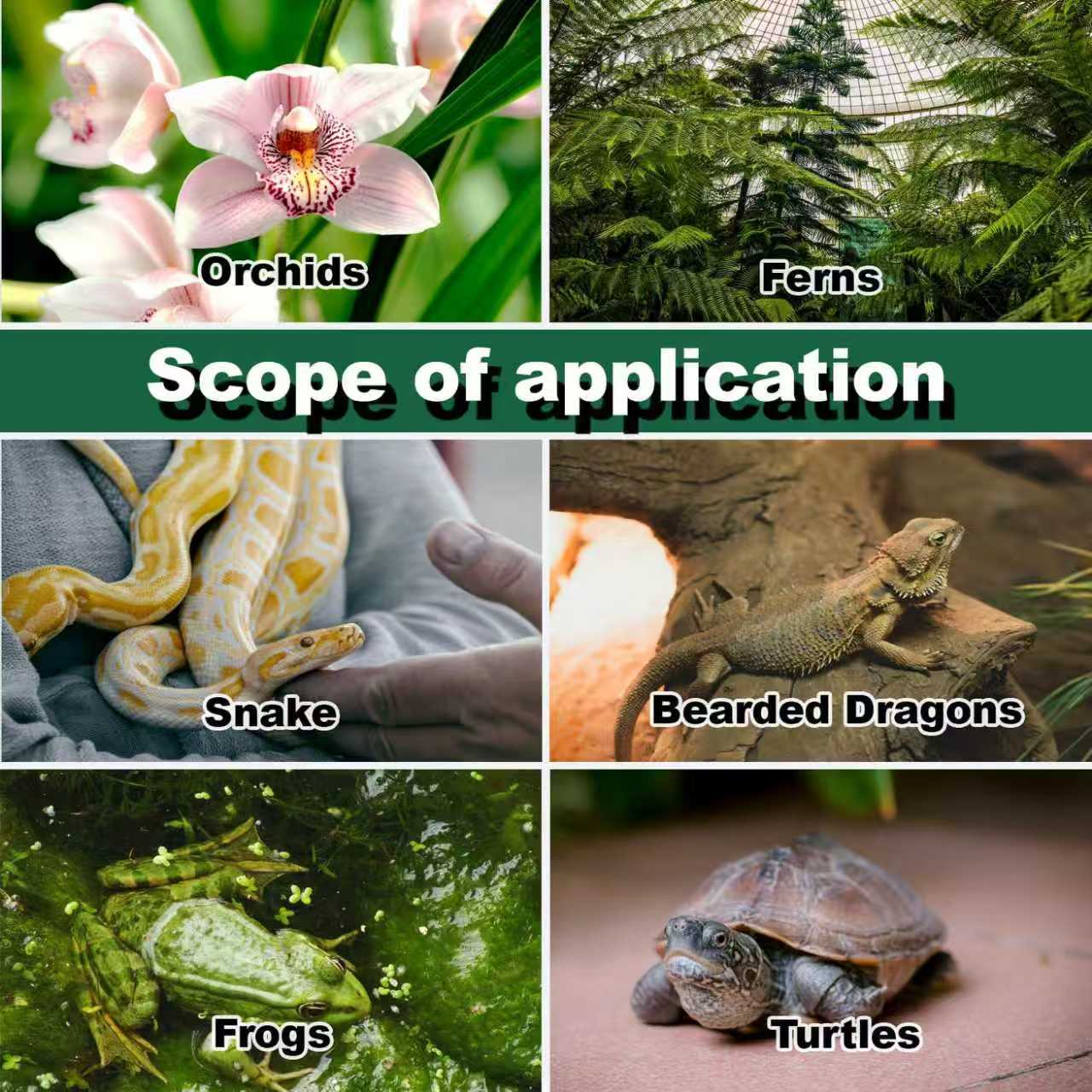 Reptile Humidifier Terrarium F - Terrarium Fogger Ultrasonic 리뷰 및 가격