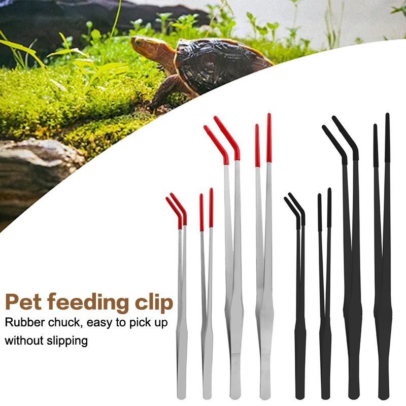 Stainless Steel Fish Tank Main - Feeding Tong Stainless 리뷰 및 가격