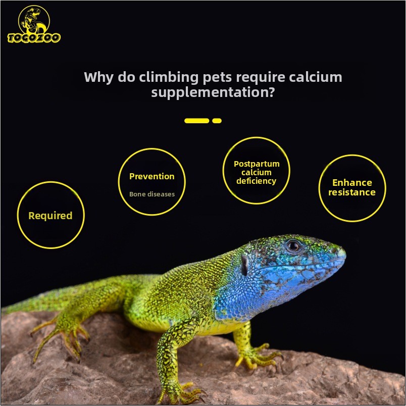 TOGOZOO WILDCAL Reptile Calciu - Calcium Powder Reptile 리뷰 및 가격