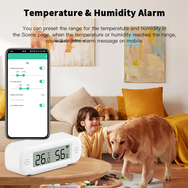 Tuya Zigbee 3.0 Mini Temperatu - Digital Hygrometer Probe 리뷰 및 가격
