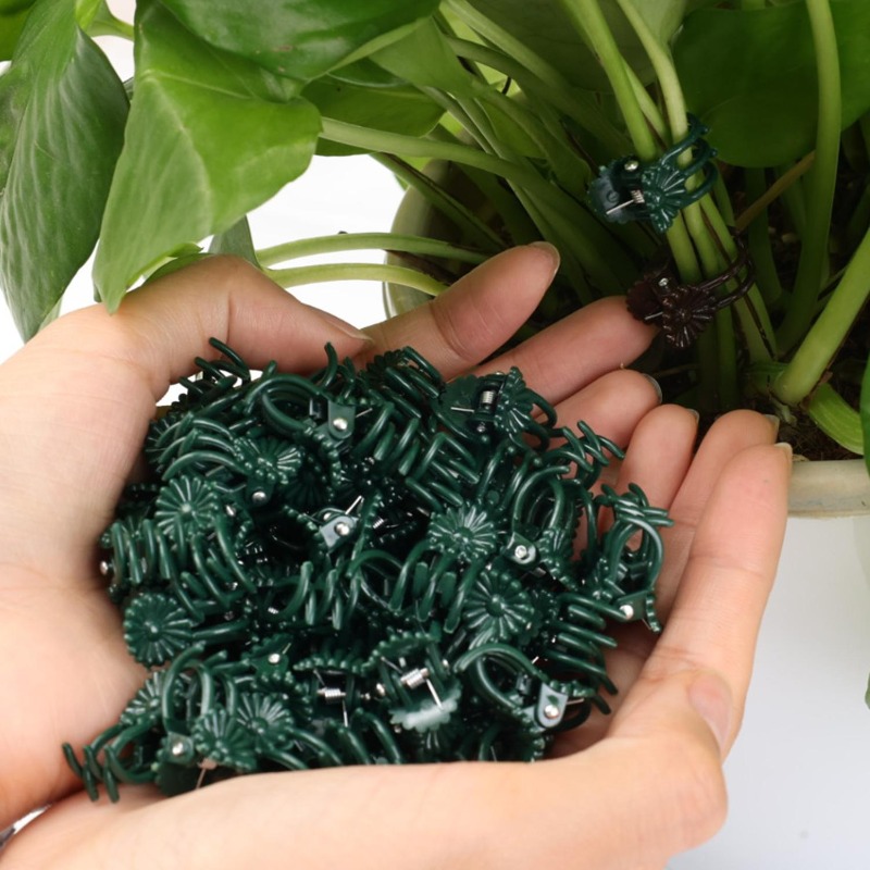 Wholesale Mini Plant Support C - Vine Climbing Plastic 리뷰 및 가격