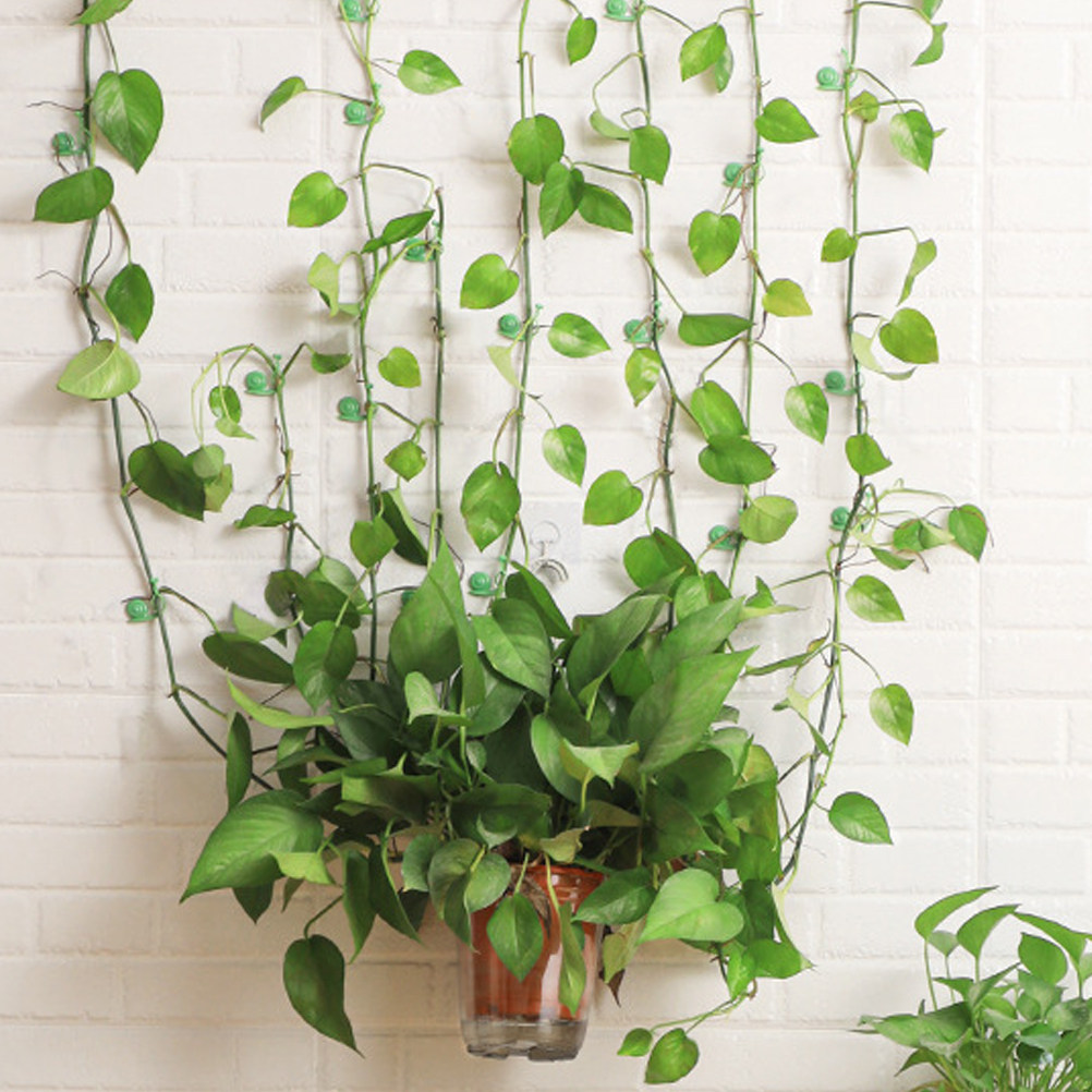 20Pcs Plant Climbing Wall Clip - Vine Climbing Plastic 리뷰 및 가격