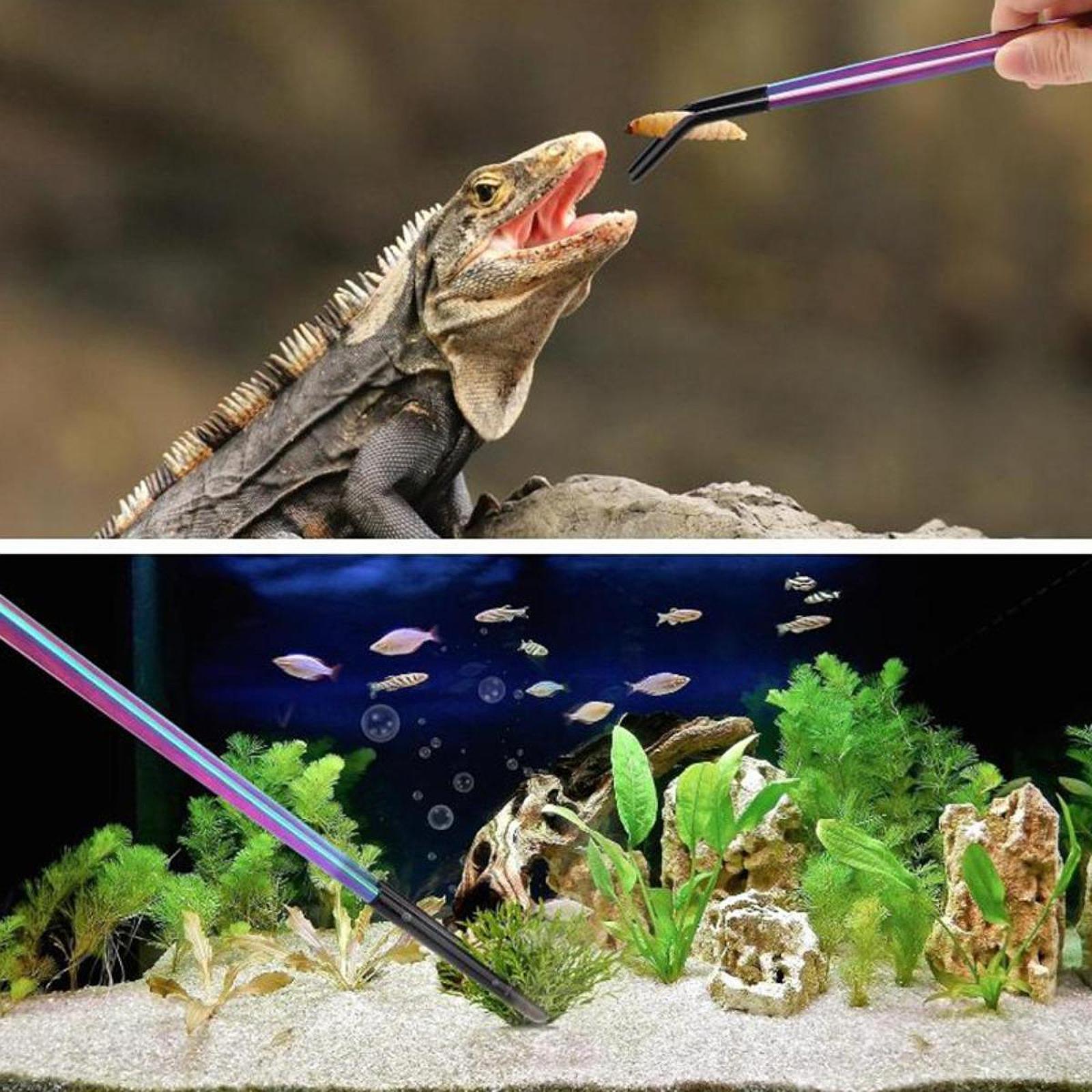 Aquarium Tweezers Reptile Feed - Feeding Tong Stainless 리뷰 및 가격