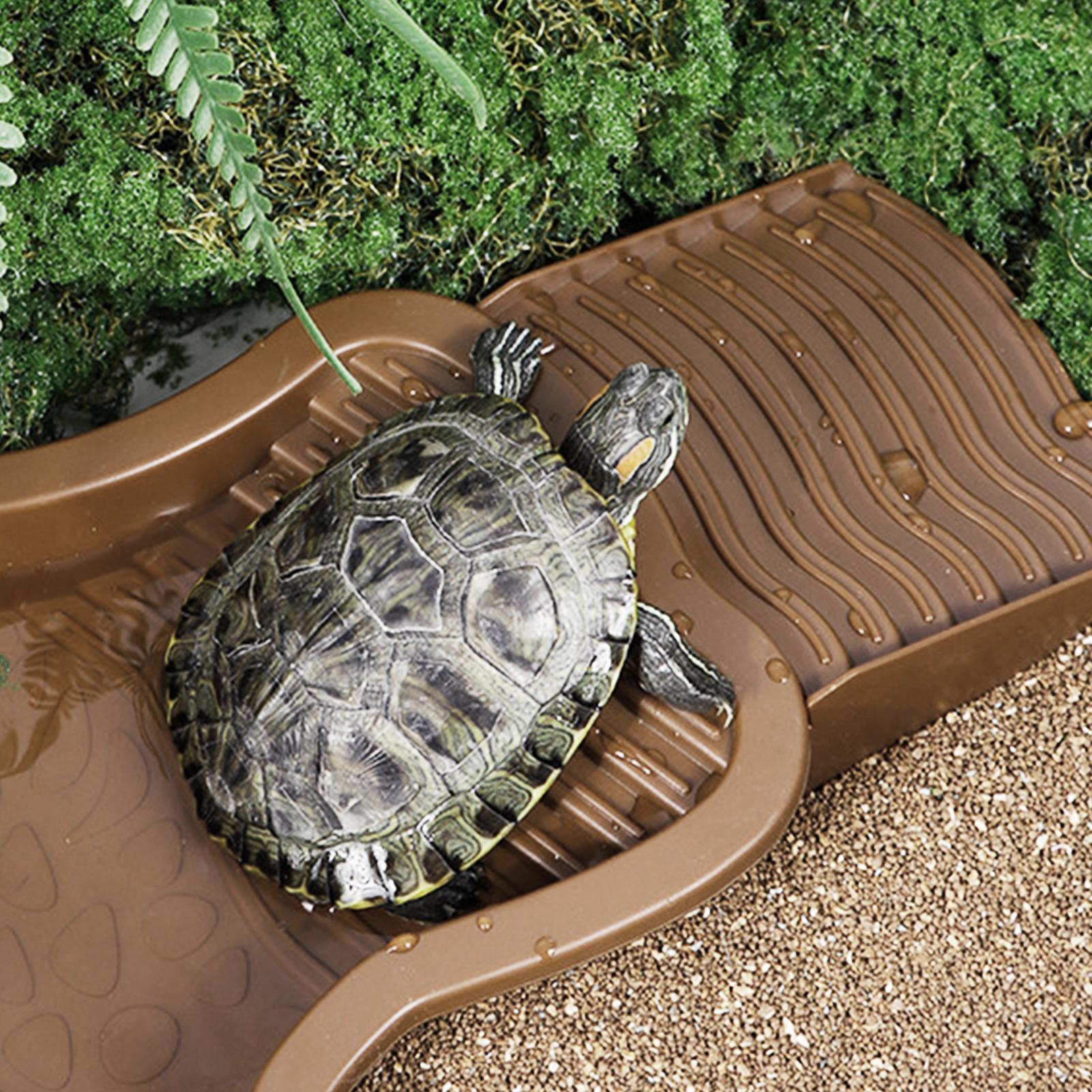 Reptile Bathing Pool with Ramp - Water Dish Reptile 리뷰 및 가격