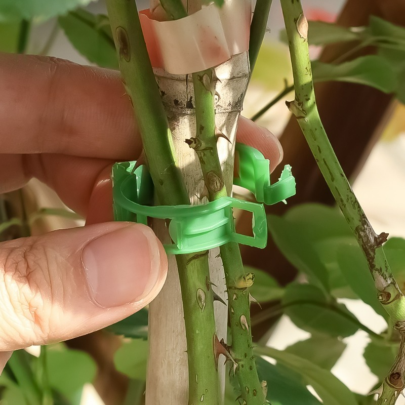 10-500Pcs Garden Plant Support - Vine Climbing Plastic 리뷰 및 가격