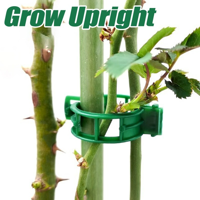 10-500Pcs Garden Plant Support - Vine Climbing Plastic 리뷰 및 가격