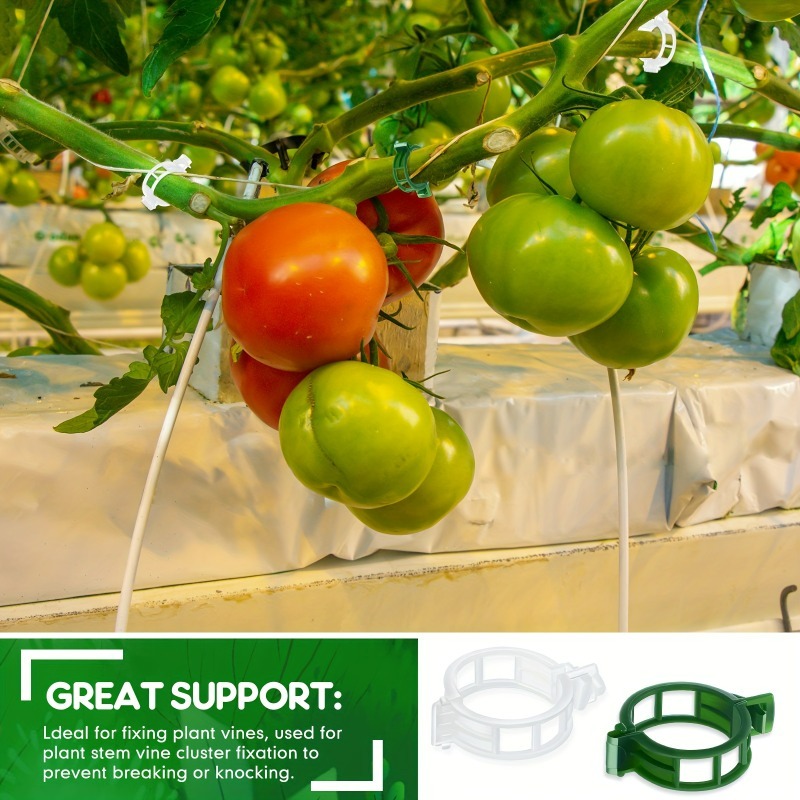 10-500Pcs Garden Plant Support - Vine Climbing Plastic 리뷰 및 가격