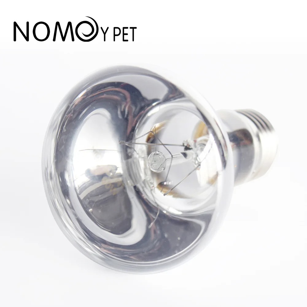 40W/60W Reptile Simulated Natu - Calcium Powder Reptile 리뷰 및 가격