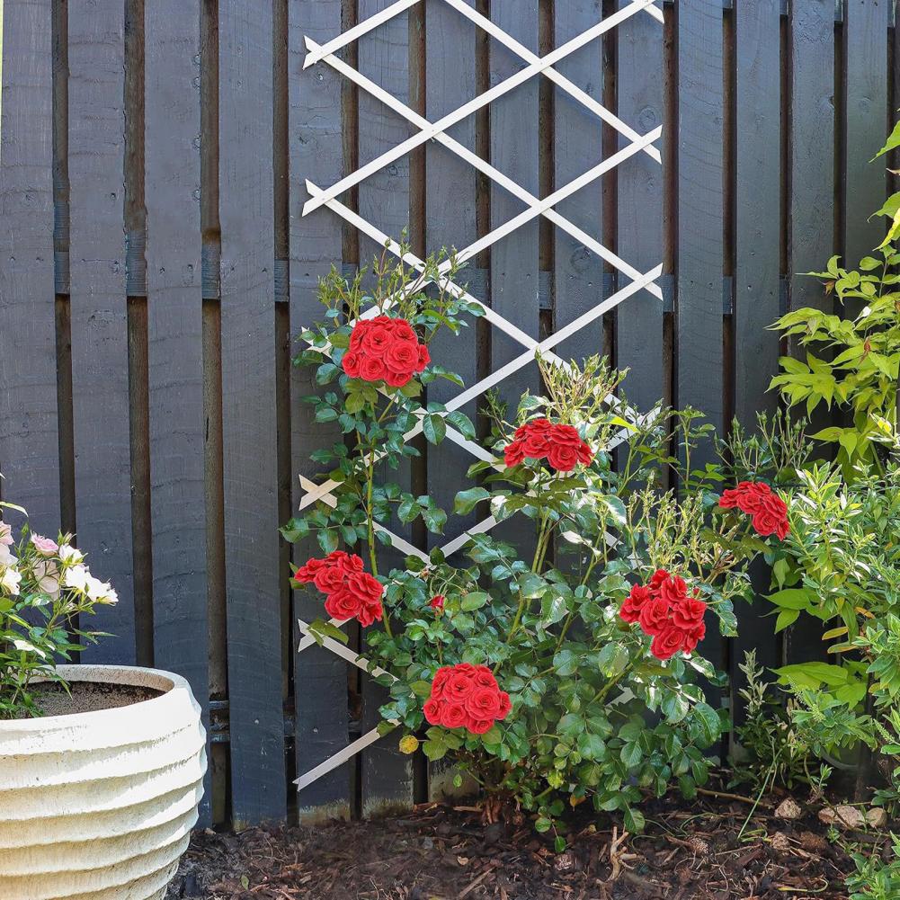 Expandable Garden Trellis 70 x - Vine Climbing Plastic 리뷰 및 가격