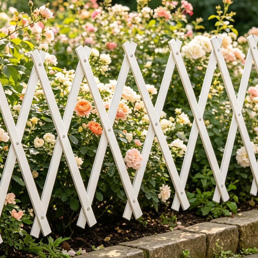 Expandable Garden Trellis 70 x - Vine Climbing Plastic 리뷰 및 가격