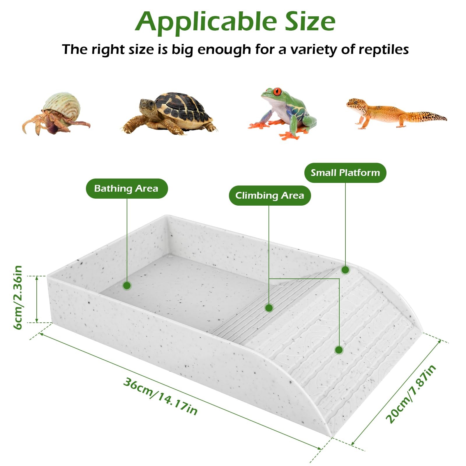 Anti Slip Tortoise Bath Dish T - Water Dish Reptile 리뷰 및 가격