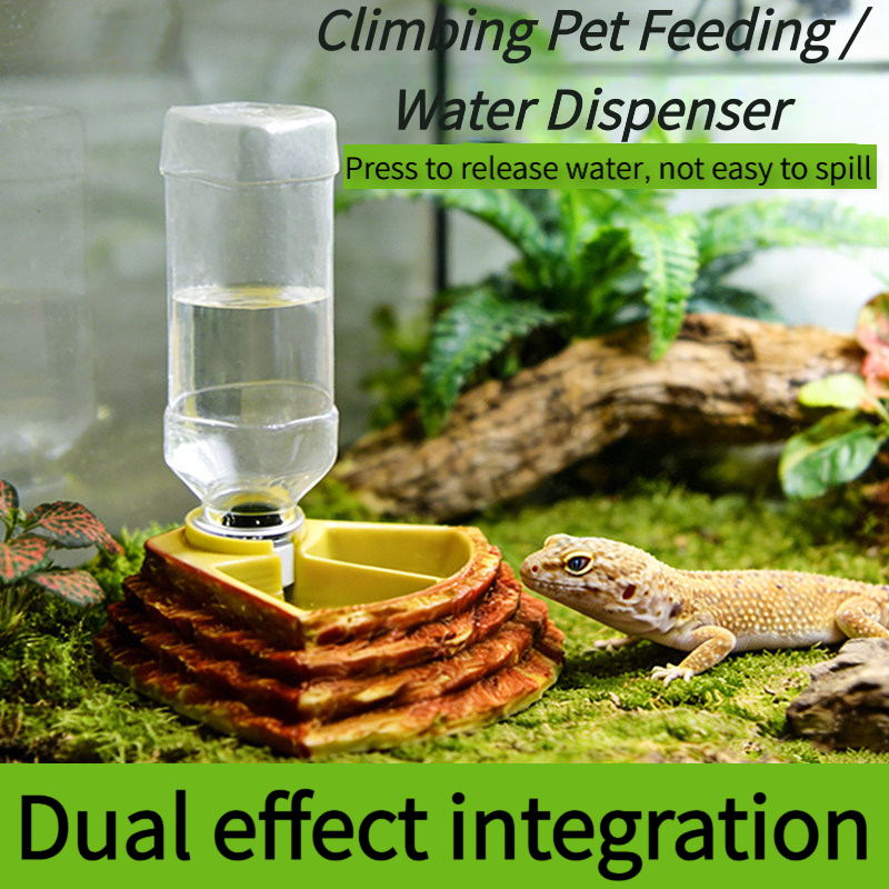 2 in 1 Reptile Water Cup Feede - Water Dish Reptile 리뷰 및 가격