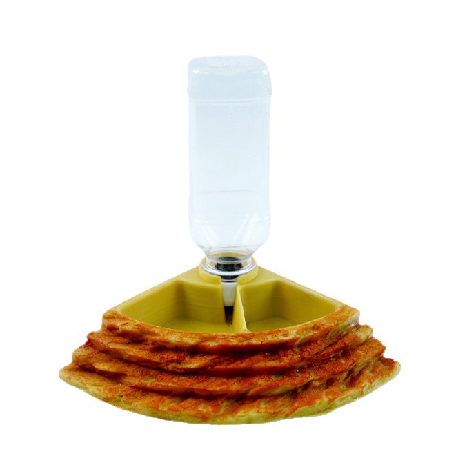 2 in 1 Reptile Water Cup Feede - Water Dish Reptile 리뷰 및 가격