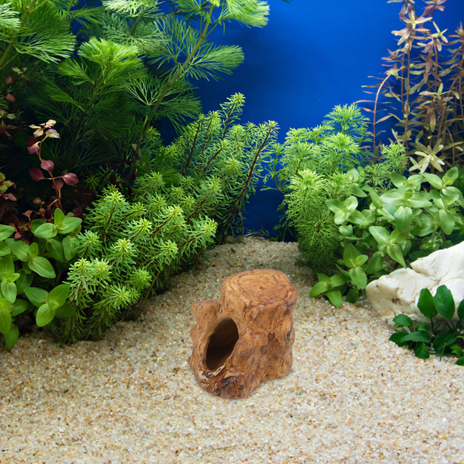 Pleco Caves for Aquarium Fish  - Hide Cave Ceramic 리뷰 및 가격