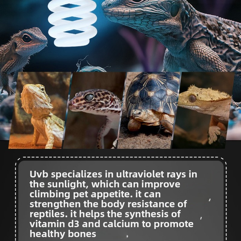 NOMOY 26W UVB Reptile Light Ca - Vitamin D3 Reptile 리뷰 및 가격