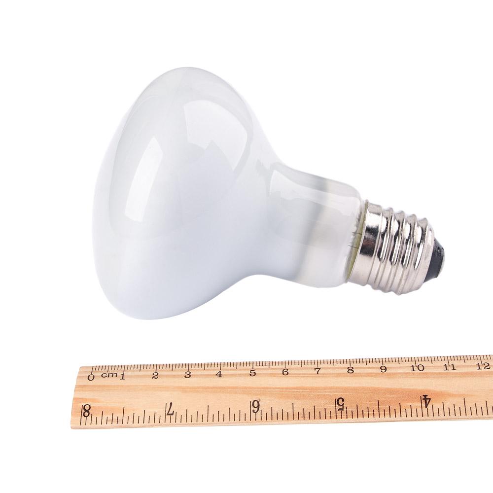 Turtle Heater Temperature Cont - Basking Bulb Halogen 리뷰 및 가격
