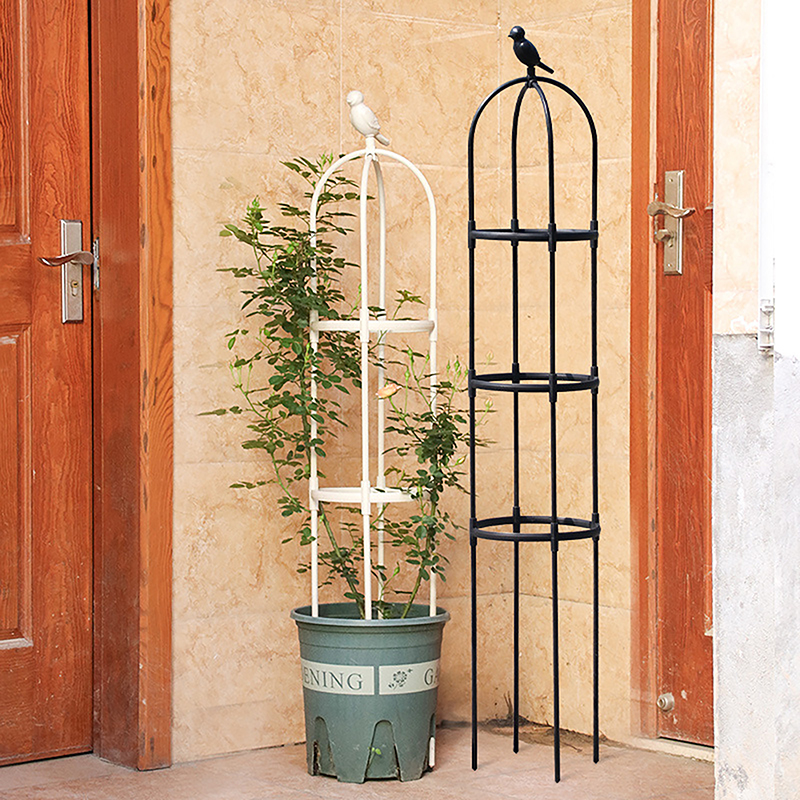 C 1Set Climbing Plant Trellis  - Vine Climbing Plastic 리뷰 및 가격