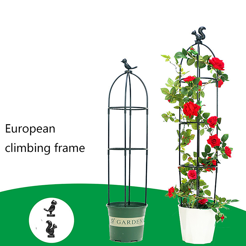 C 1Set Climbing Plant Trellis  - Vine Climbing Plastic 리뷰 및 가격