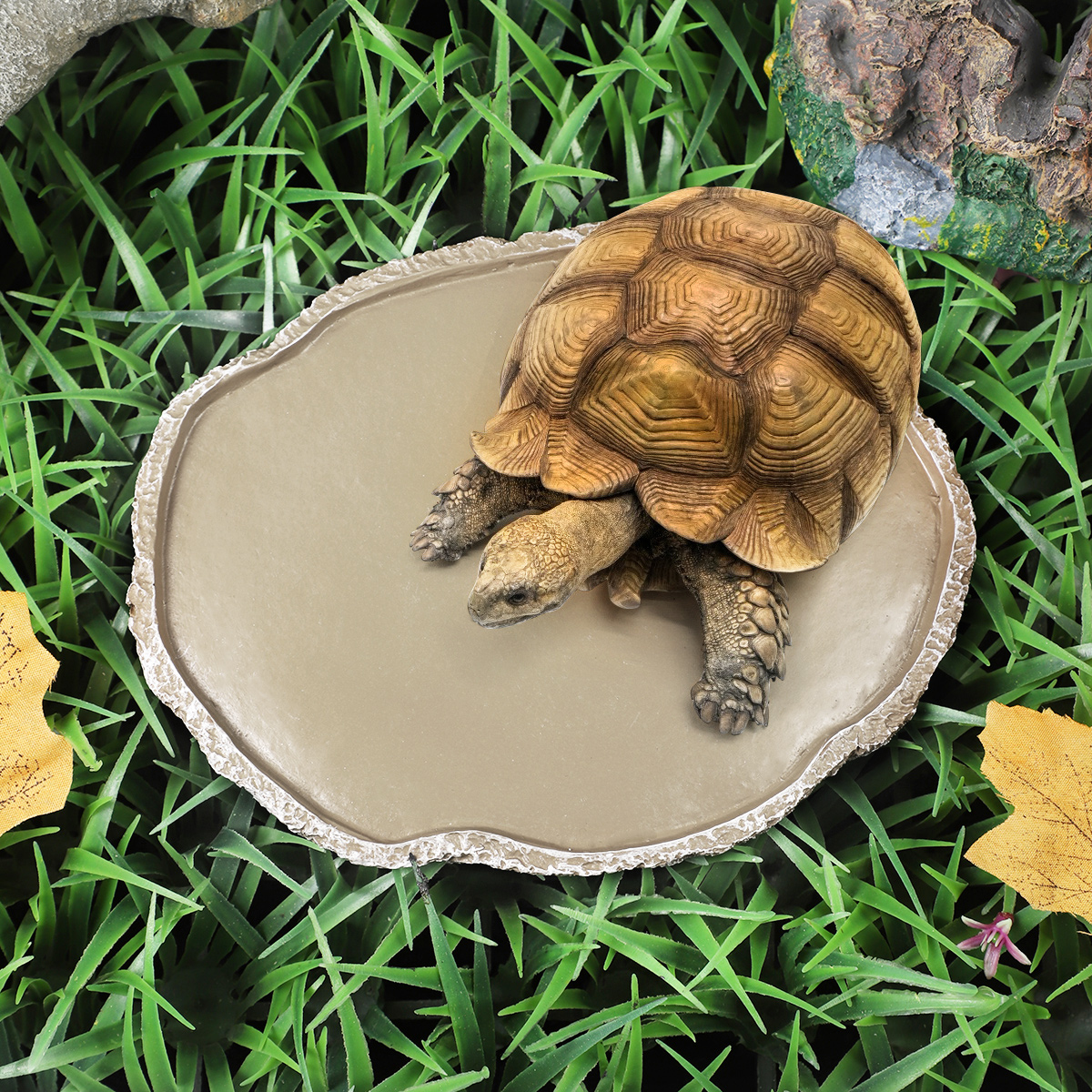 Pets Feeding Plate Reptile Fee - Water Dish Reptile 리뷰 및 가격