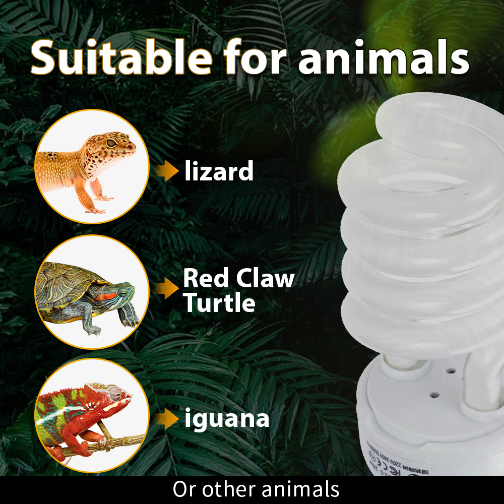 26W Pet Box Lamp Calcium Suppl - Calcium Powder Reptile 리뷰 및 가격