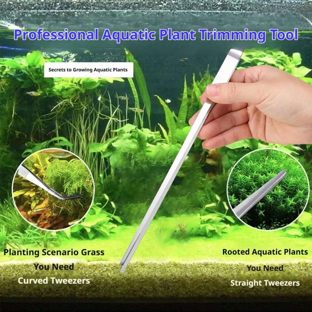 Stainless Steel Aquarium Tweez - Feeding Tong Stainless 리뷰 및 가격