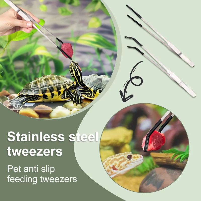 2Pcs Stainless Steel Tweezers  - Feeding Tong Stainless 리뷰 및 가격