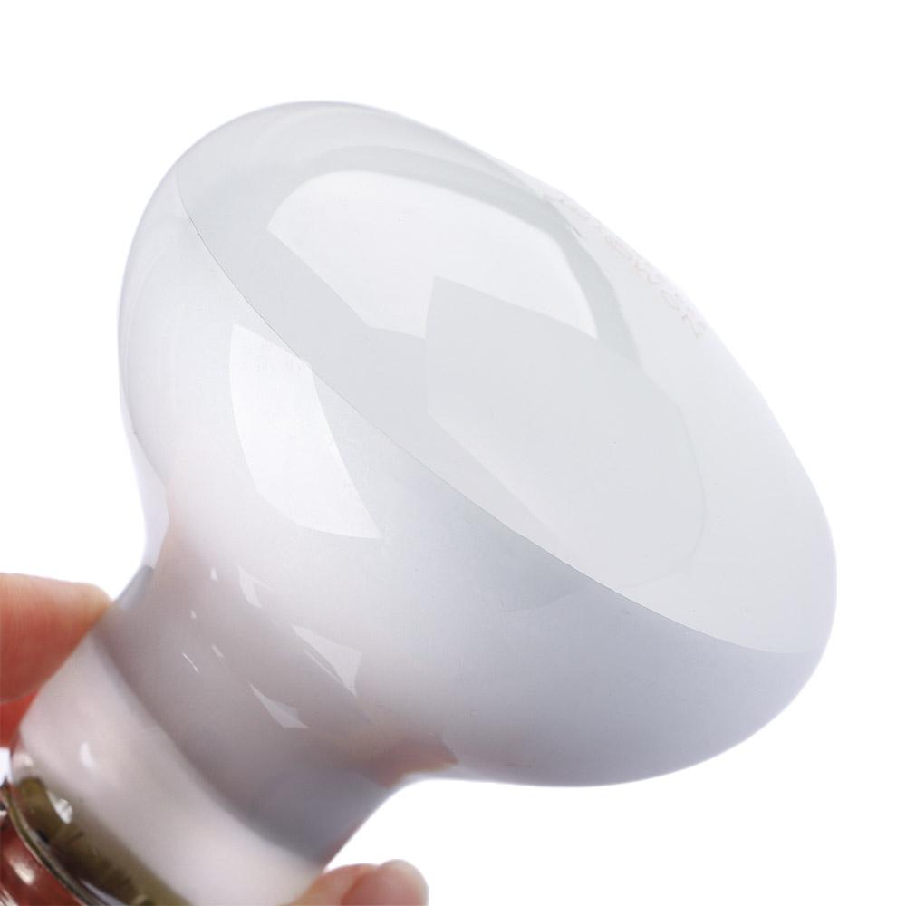Amphibians Temperature Control - Basking Bulb Halogen 리뷰 및 가격