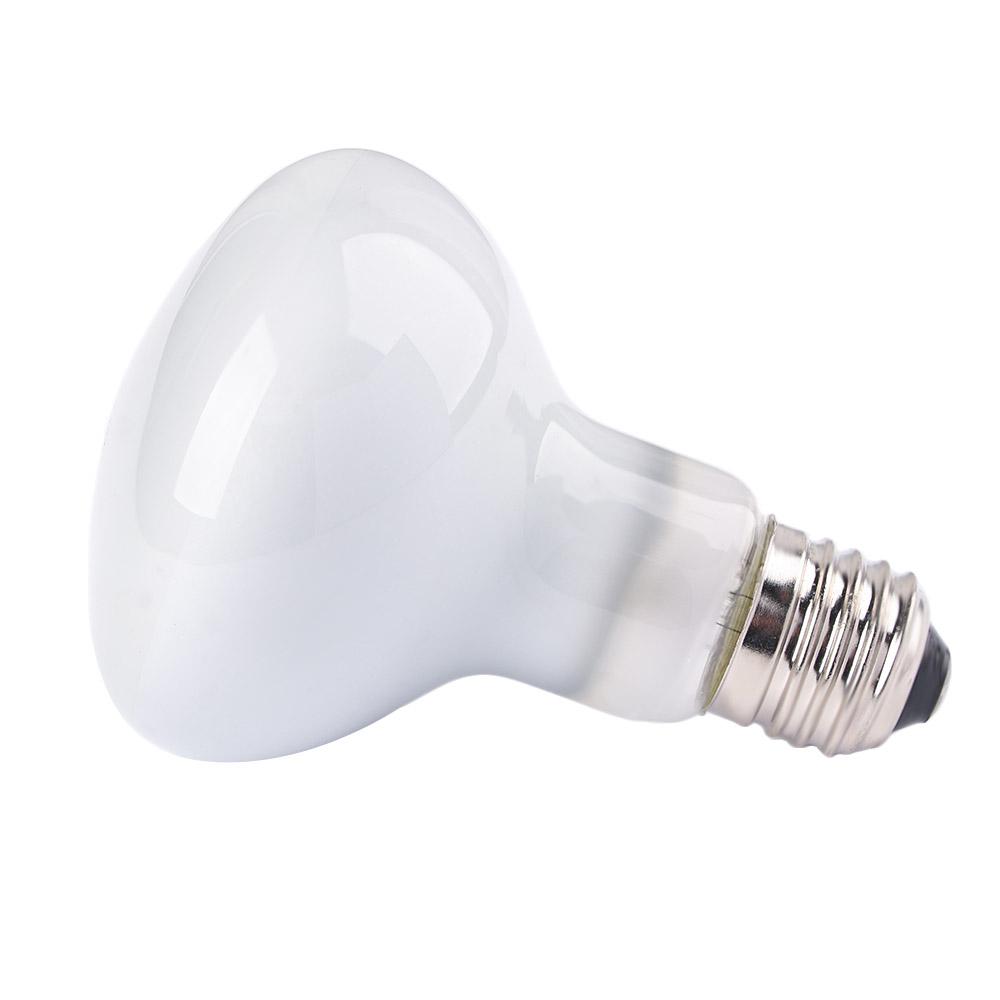 Amphibians Temperature Control - Basking Bulb Halogen 리뷰 및 가격