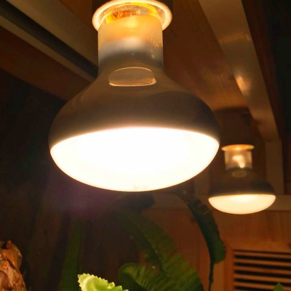 Amphibians Temperature Control - Basking Bulb Halogen 리뷰 및 가격