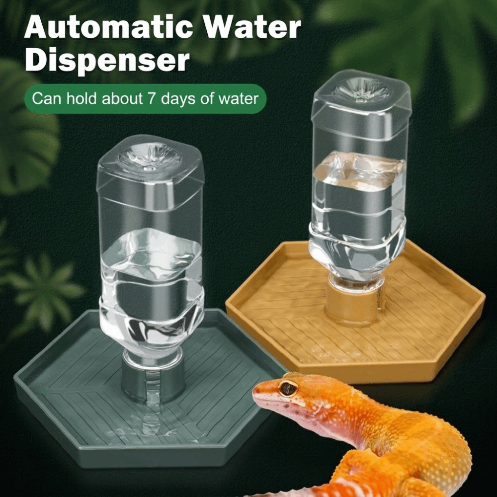 Feeding Supplies Automatic Tur - Water Dish Reptile 리뷰 및 가격